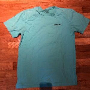 Blue/green Patagonia Tee